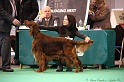 Crufts2011 847